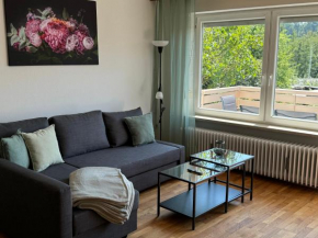 Ferienwohnung Passau-Grubweg